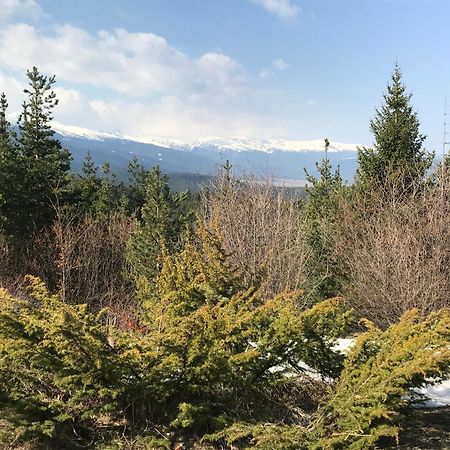 Borovets Hills Apartments - Evergreen Suite Eksteriør bilde
