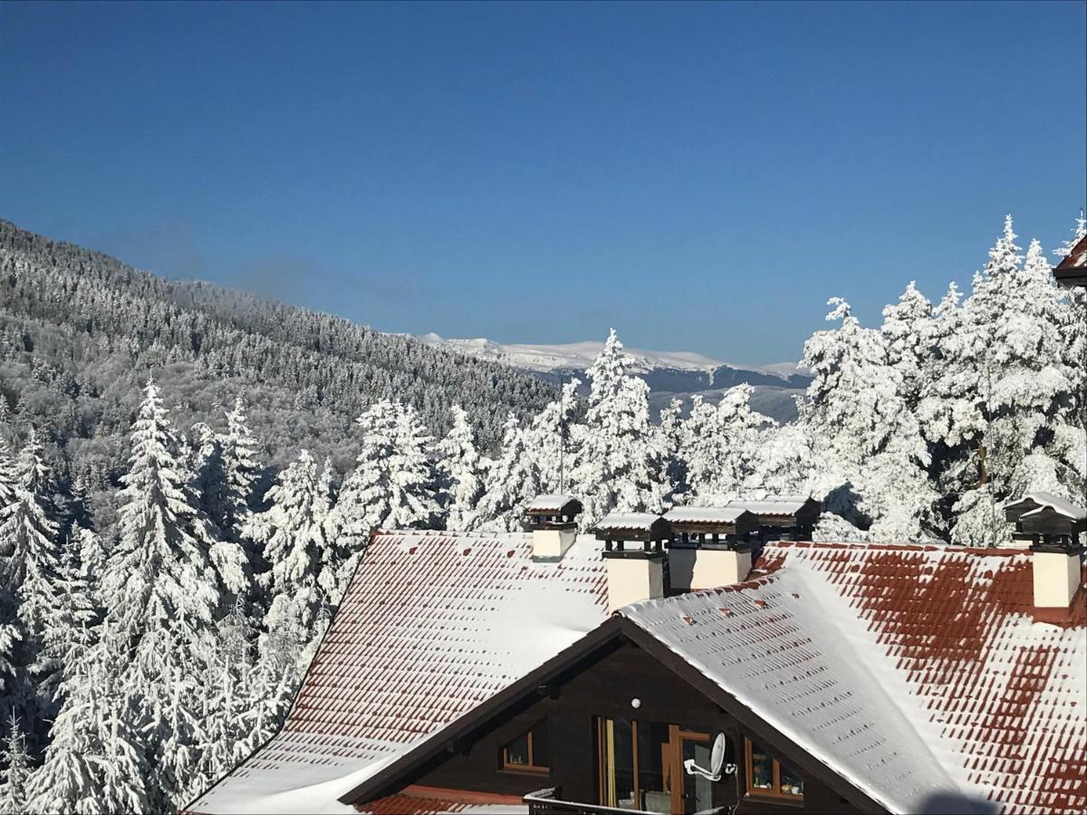 Borovets Hills Apartments - Evergreen Suite Eksteriør bilde